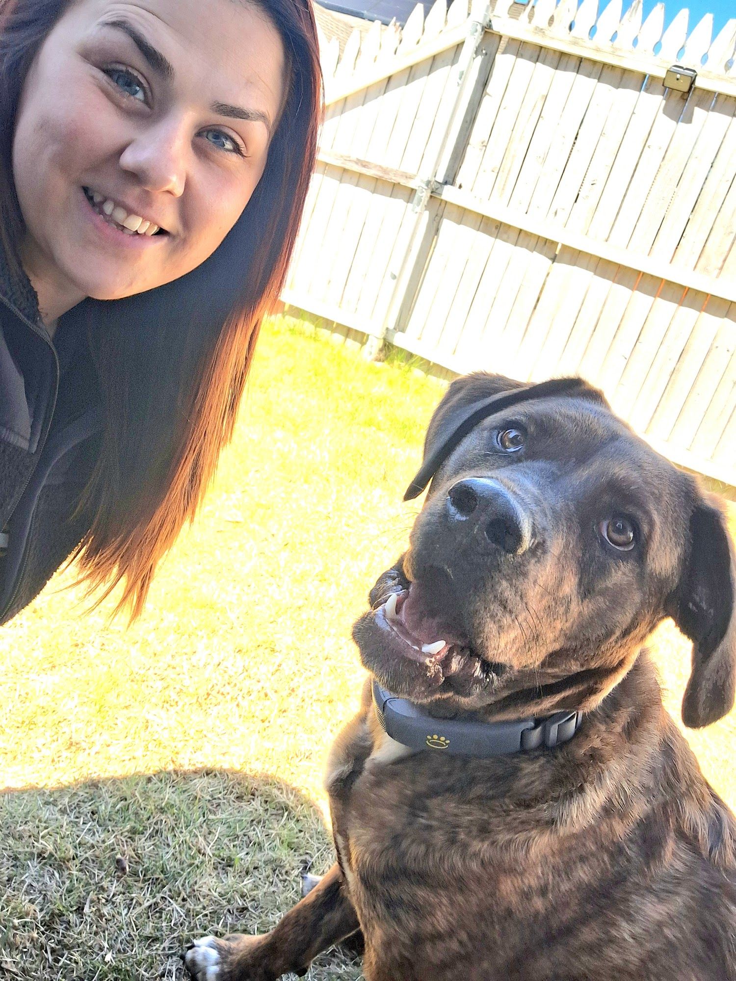 Drop-In Pet Visits
