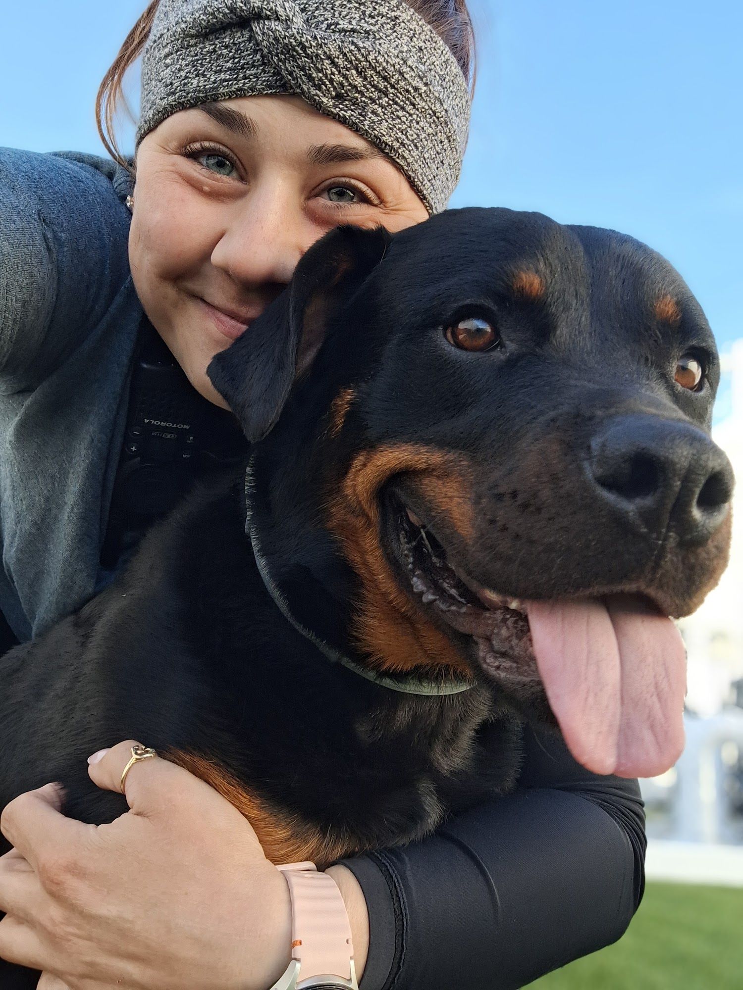 Boss Dog - Top Dog Assistant gallery photo