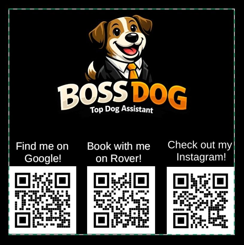 Boss Dog - Top Dog Assistant — photo